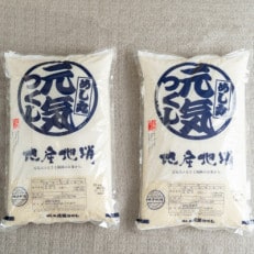 果物屋さんが選んだ米「元気つくし」5kg×2袋(中間市)