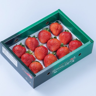 上級クラスの福岡産あまおう苺　EX(エクセレント)9-12粒(中間市)