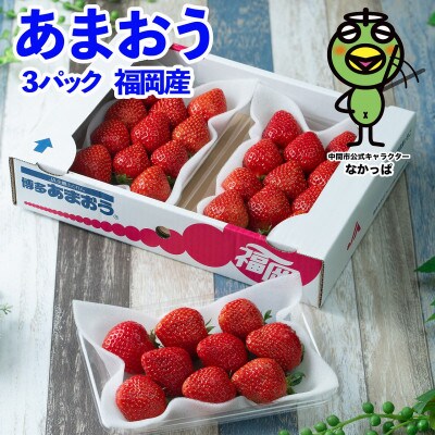 春にお届け!丁度いい! 福岡産はるあまおう3パック(中間市)