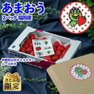 【11月下旬より順次発送】さとふる限定!なかっぱシール付「あまおう苺」冬2パック(中間市)