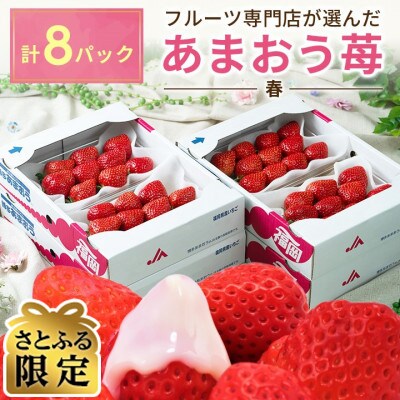 【2027年発送先行受付】さとふる限定!なかっぱシール付「あまおう苺」春8パック(中間市)