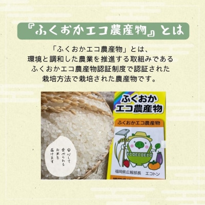農家の直送米　ふくおかエコ農産物【農家のお米】10kg