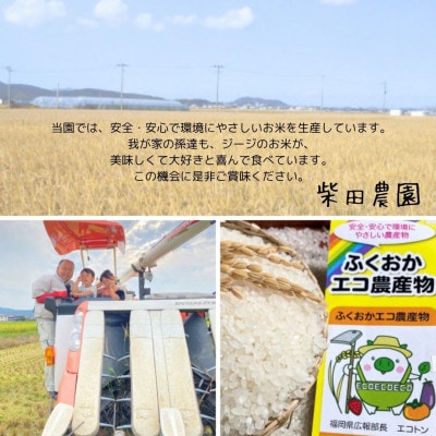 農家の直送米　ふくおかエコ農産物【農家のお米】10kg