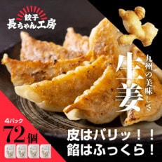 生姜餃子4パック(72個入り)