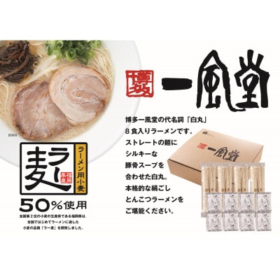 「一風堂」白丸 ラー麦麺セット 合計8食分セット(中間市)