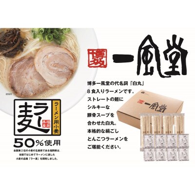 ラー麦使用「一風堂」とんこつラーメン 白丸(8食)【ホットもやしソース付き】(中間市)