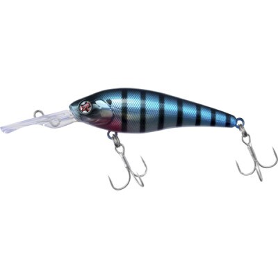 コジローシャッド　#ブルーギル