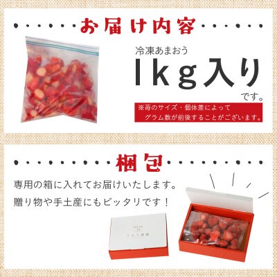 【先行受付】冷凍あまおう1kg(中間市)