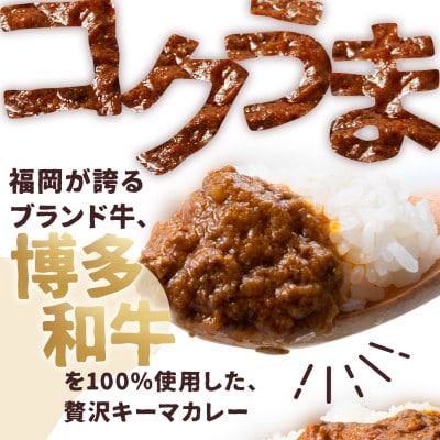 100%博多和牛のキーマカレー (180g×3パック)(中間市)