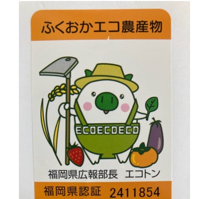 【中間市】豊かな自然で育ったキャベツ1箱(8玉)