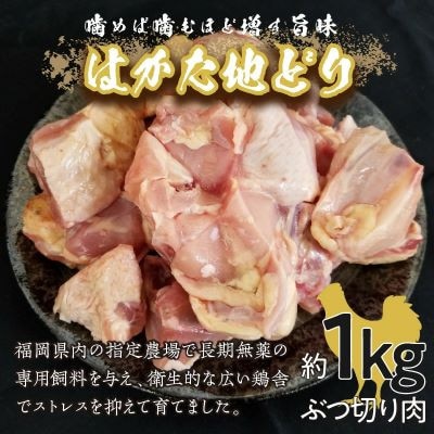 福岡県産地鶏「はかた地どり」ぶつ切り肉(約1kg)(中間市)