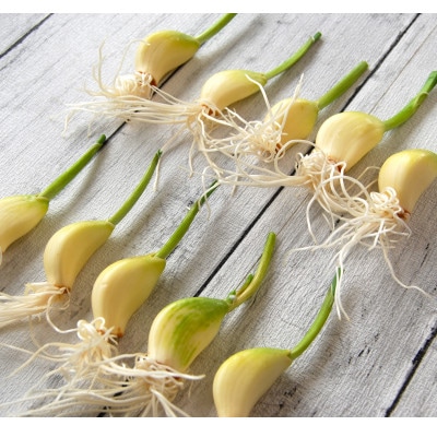 いなほの発芽にんにく「にんにん」