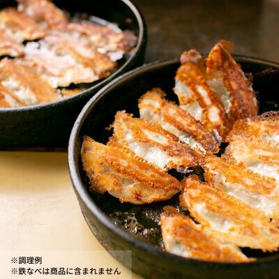 【毎月定期便】本店鉄なべの冷凍ぎょうざ48個入り+冷凍しそぎょうざ48個入り全6回