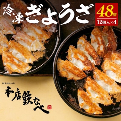 【毎月定期便】本店鉄なべの冷凍ぎょうざ48個入り全3回