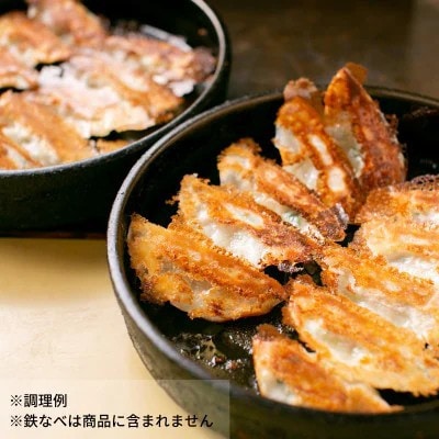 【毎月定期便】本店鉄なべの冷凍ぎょうざ48個入り×2個セット全6回