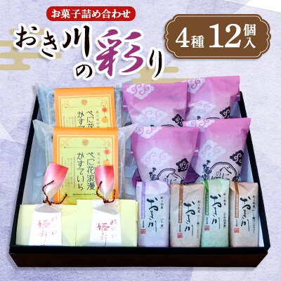 おき川の彩り(12個入り)