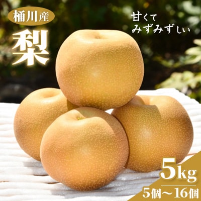 桶川産の梨　5kg