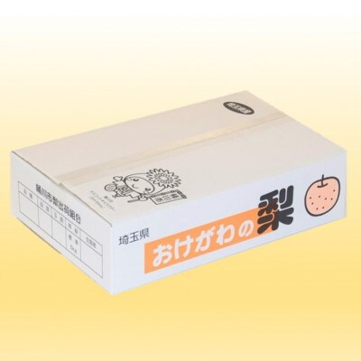 桶川産の梨　5kg