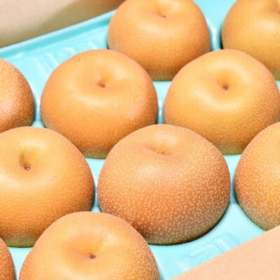 桶川産の梨　5kg