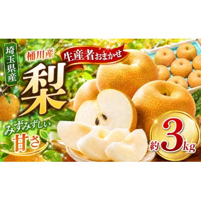 桶川産の梨 3kg