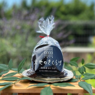 大地のきくらげ3種セット(生きくらげ100g×4 乾燥きくらげ30g×2 細切カット30g×2)国産
