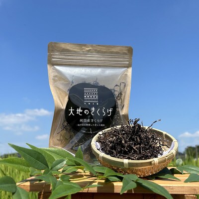 大地のきくらげ3種セット(生きくらげ100g×4 乾燥きくらげ30g×2 細切カット30g×2)国産