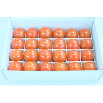 【大人気ギフト】極甘高糖度フルーツトマト「ポモ・ロッサ」　24粒入りギフトボックス