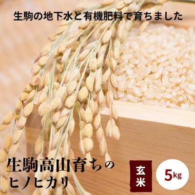 ヒノヒカリ玄米5kg(5kg×1)