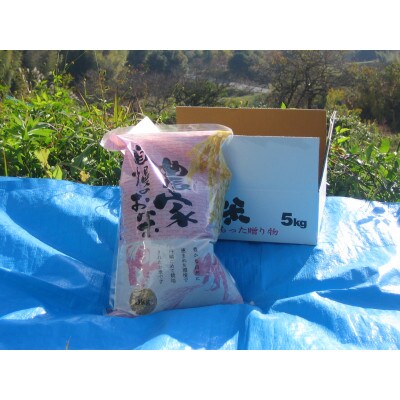 ヒノヒカリ玄米5kg(5kg×1)
