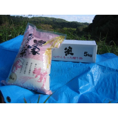 ヒノヒカリ米5kg(精米5kg×1)