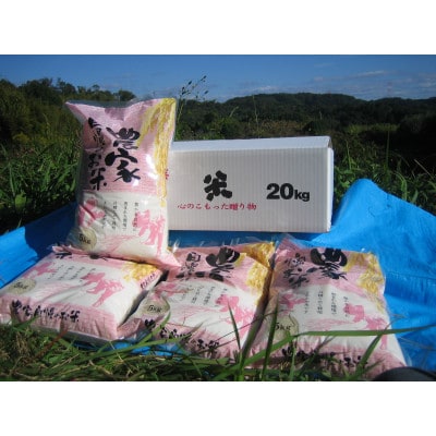 見事な ヒノヒカリ米20kg(精米5kg×4) | 奈良県生駒市 | ふるさと納税 米・雑穀・粉類