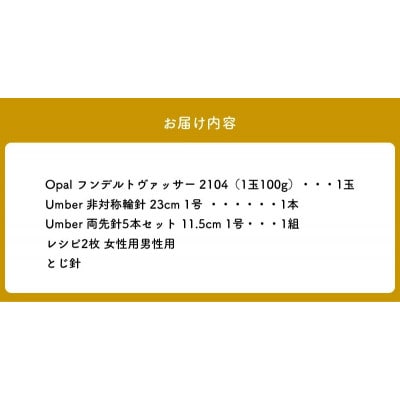 【seeknit】非対称輪針で編む大人ソックスのキット 59907【2104】
