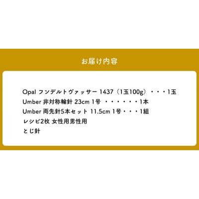 【SEEKNIT】非対称輪針で編む大人ソックスキット 59908【1437】