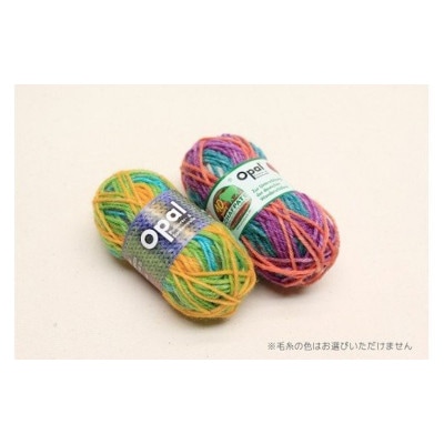 【Seeknit】両先5本針で編むミニソックのキット 58565