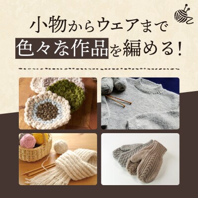 【Seeknit】あみ針 スターターセット 15点+ケース付き! 05621