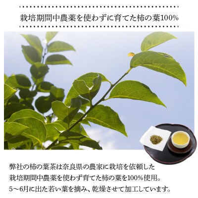 奈良県産柿の葉茶　20g×3