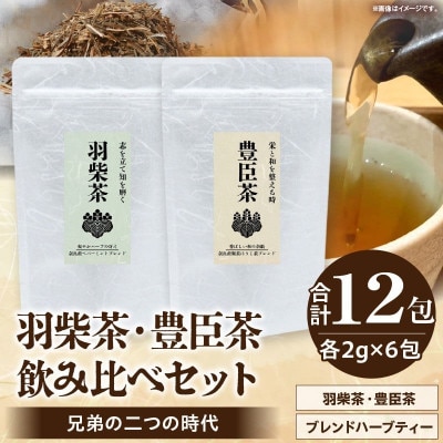 兄弟の二つの時代 ― 羽柴茶・豊臣茶 飲み比べセット