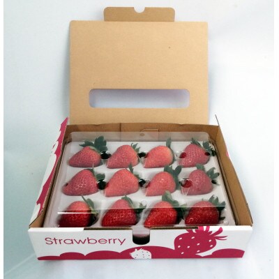 【ふるさと納税】「古都華」化粧箱入りいちご