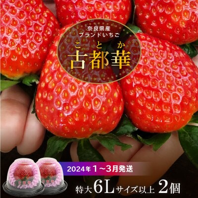 【2024年1月～3月順次発送】高級いちご「古都華」6Lサイズ以上2個　奈良県生駒市産　農家直送