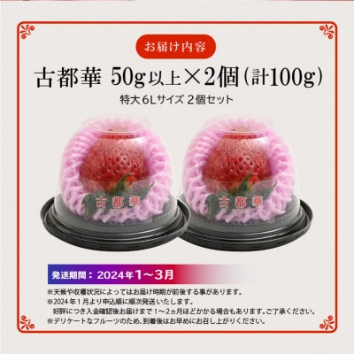 【2024年1月～3月順次発送】高級いちご「古都華」6Lサイズ以上2個　奈良県生駒市産　農家直送