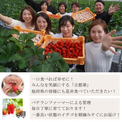 【2024年1月～3月順次発送】高級いちご「古都華」6Lサイズ以上2個　奈良県生駒市産　農家直送