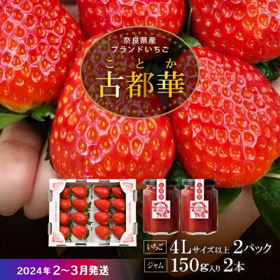 【2024年2月～3月順次発送】高級いちご「古都華」4L以上2パック&古都華ジャム2個