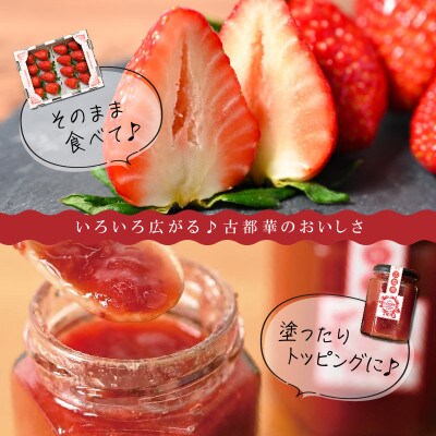 【2024年2月～3月順次発送】高級いちご「古都華」4L以上2パック&古都華ジャム2個