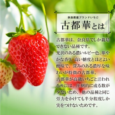 【2024年2月～3月順次発送】高級いちご「古都華」4L以上2パック&古都華ジャム2個