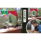 【2023年発送】お正月飾り「かどまつのパネル」