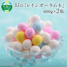 幻の「レインボーラムネ」2箱【令和5年8月から発送】 | ふるさと納税のお礼品