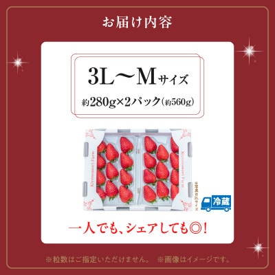【2026年2月～3月順次発送】高級いちご「古都華」3L～Mサイズ2パック　奈良県生駒市産　農家直送