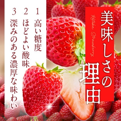 【2026年2月～3月順次発送】高級いちご「古都華」3L～Mサイズ2パック　奈良県生駒市産　農家直送