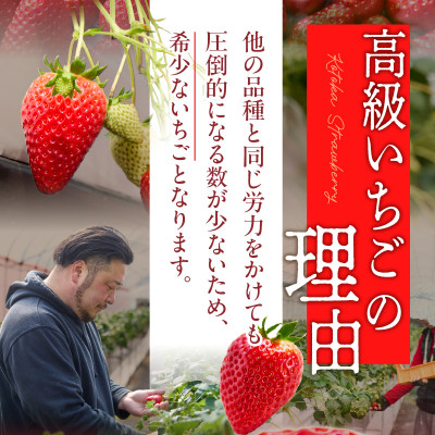 【2026年2月～3月順次発送】高級いちご「古都華」3L～Mサイズ2パック　奈良県生駒市産　農家直送
