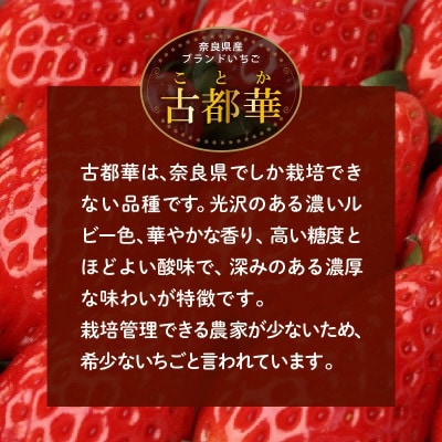 高級いちご「古都華」 ジャム2本セット　奈良県生駒市